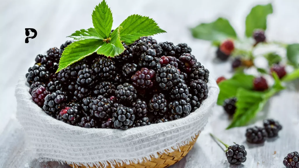 blackberries