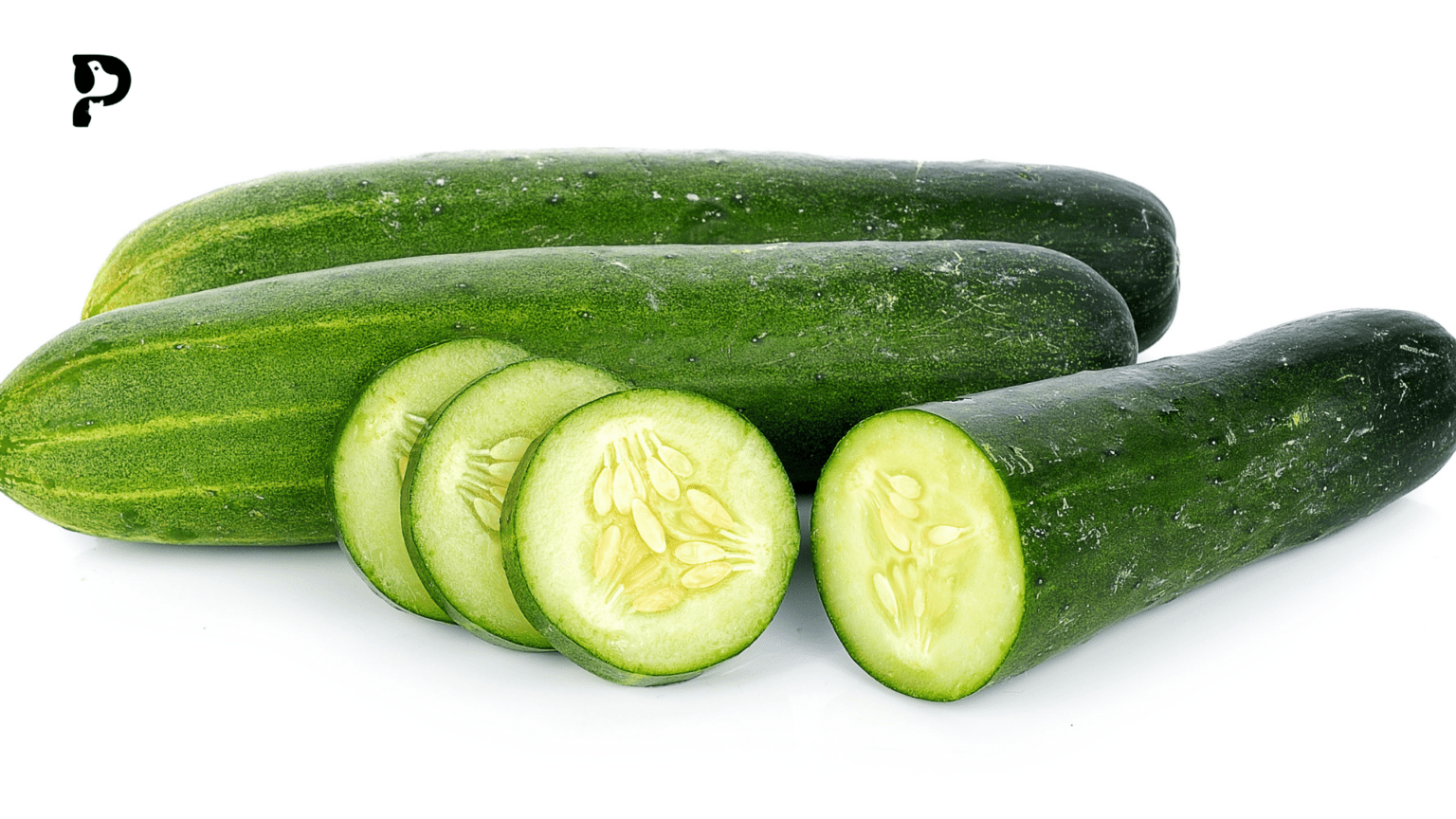 What is Toxic to Crested Geckos in 2024? Pet Engineers