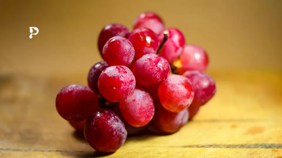 Grapes
