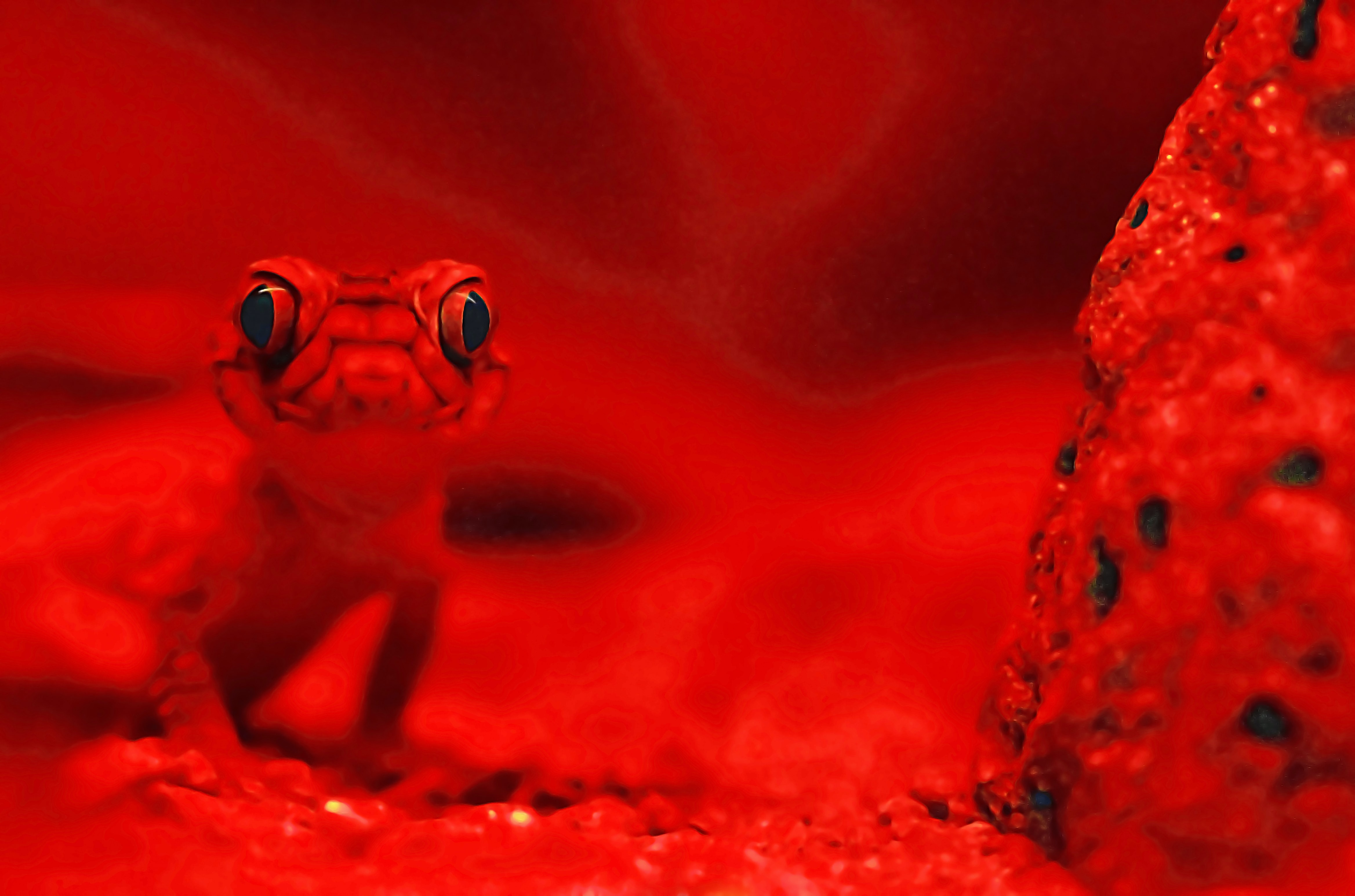 3 Reasons Why Your Crested Gecko Eats Its Poop 2023 Pet Engineers