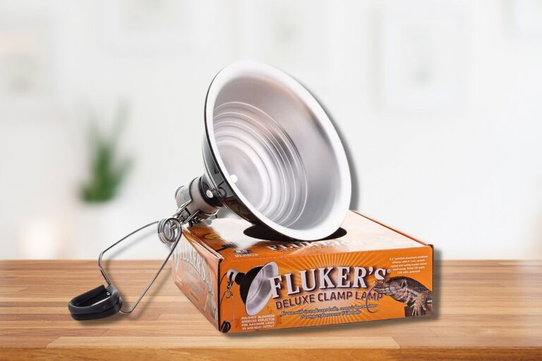 6 Best Lighting For Crested Geckos (LED, UVA, UVB, and UVC) 2023 Pet Engineers