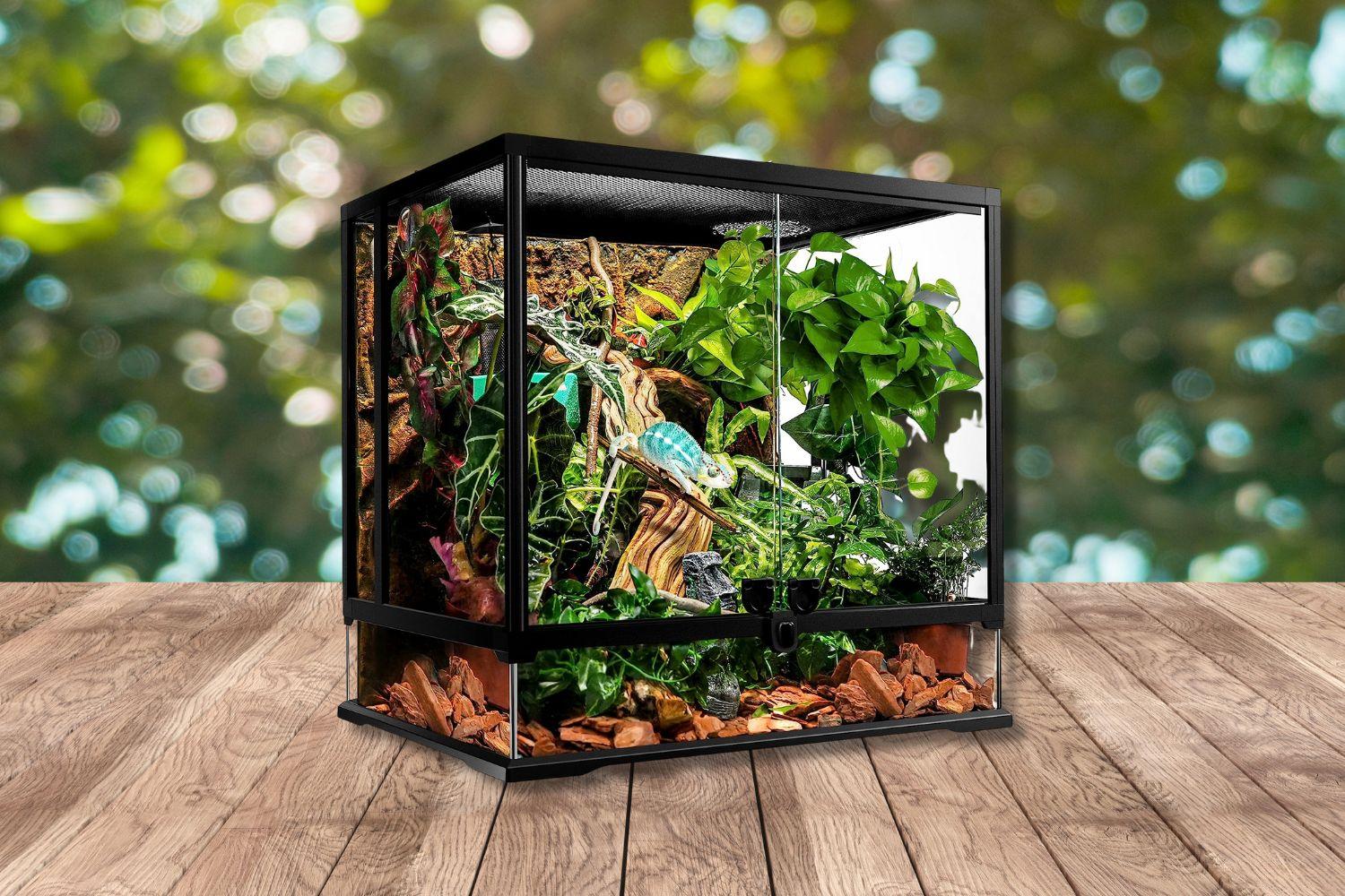 5 Best Tanks/Enclosures For Crested Geckos in 2024 Pet Engineers