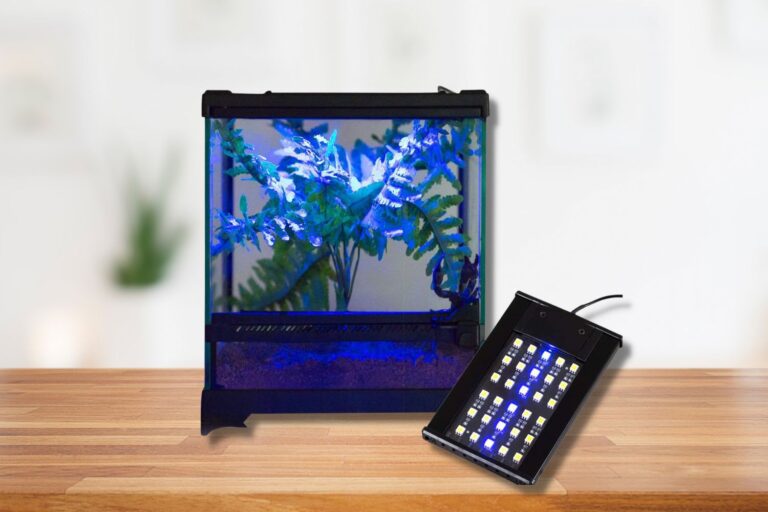 6 Best Lighting For Crested Geckos (LED, UVA, UVB, and UVC) 2023 Pet