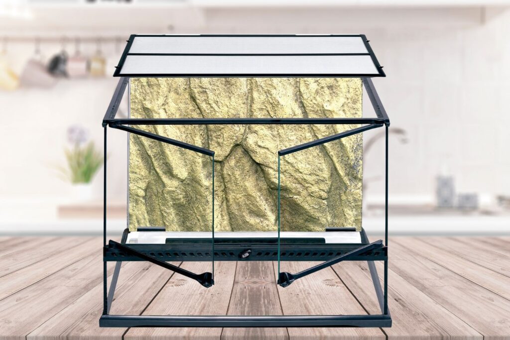 exo terra glass terrarium tank