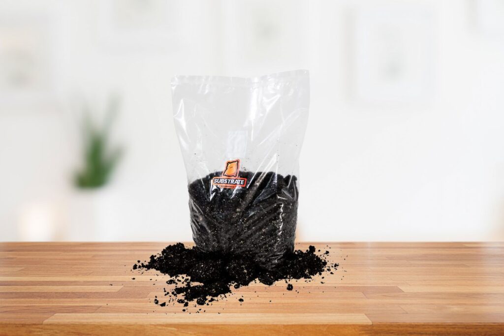 5 Best Substrate For Crested Gecko Eggs in 2023 Pet Engineers