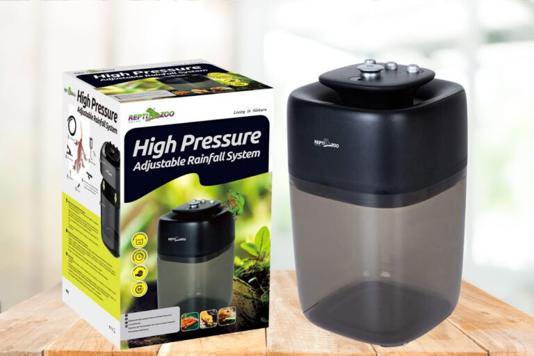 Crested Gecko Egg Incubation and Candling An InDepth Guide Pet