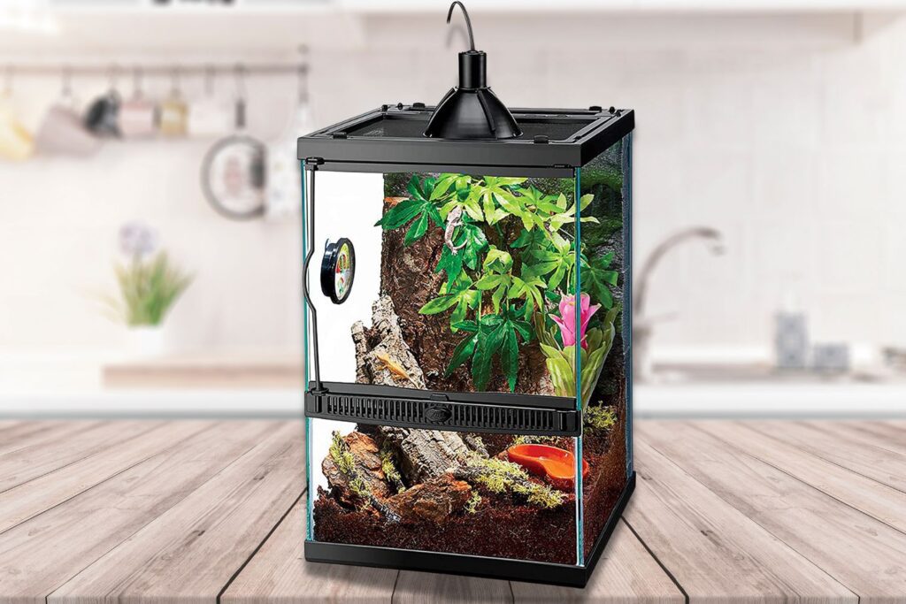 zilla tropical reptile habitat
