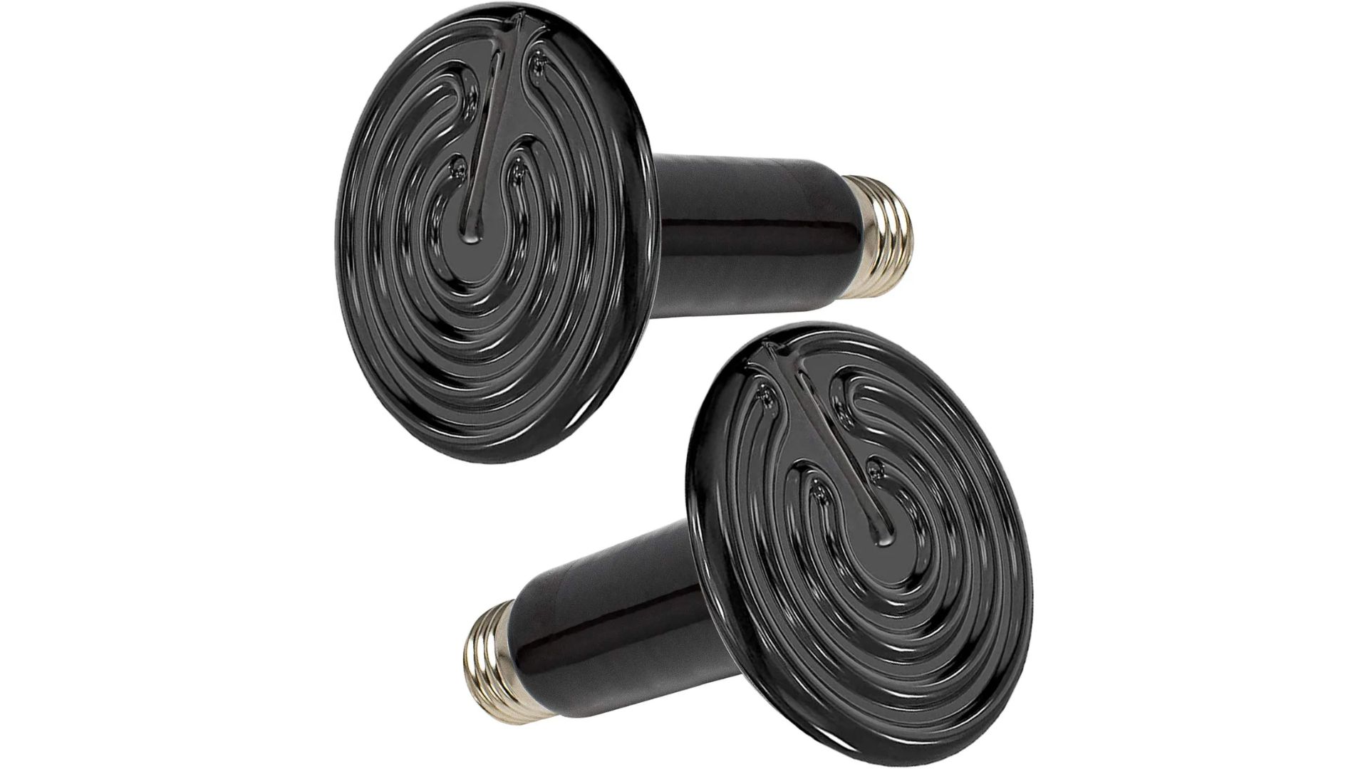 Crested Gecko Heating Requirements Your Guide 2024 Pet Engineers