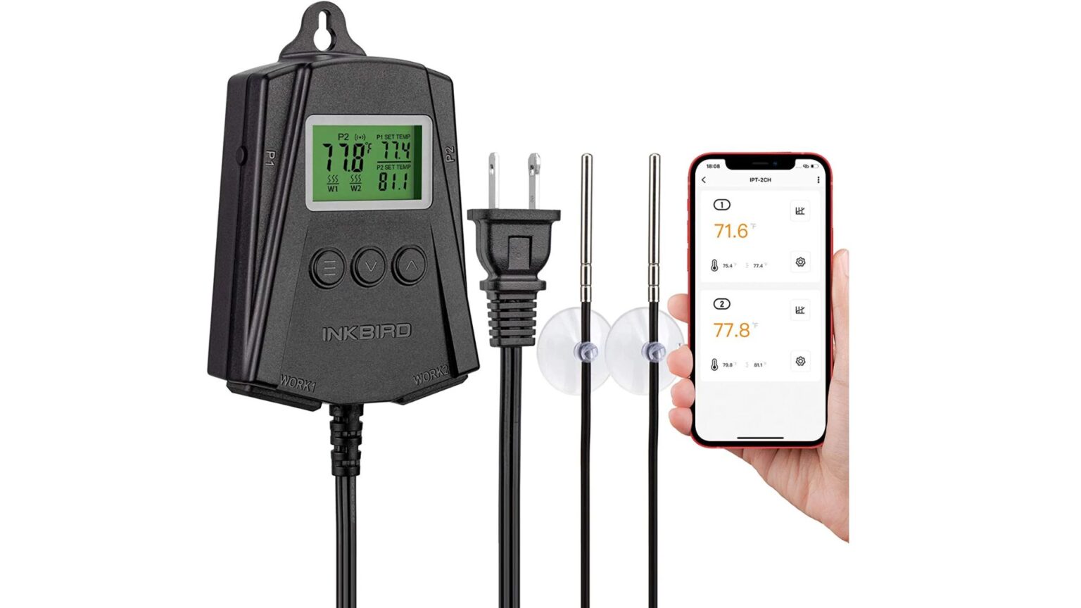 Crested Gecko Heating Requirements Your Guide 2024 Pet Engineers