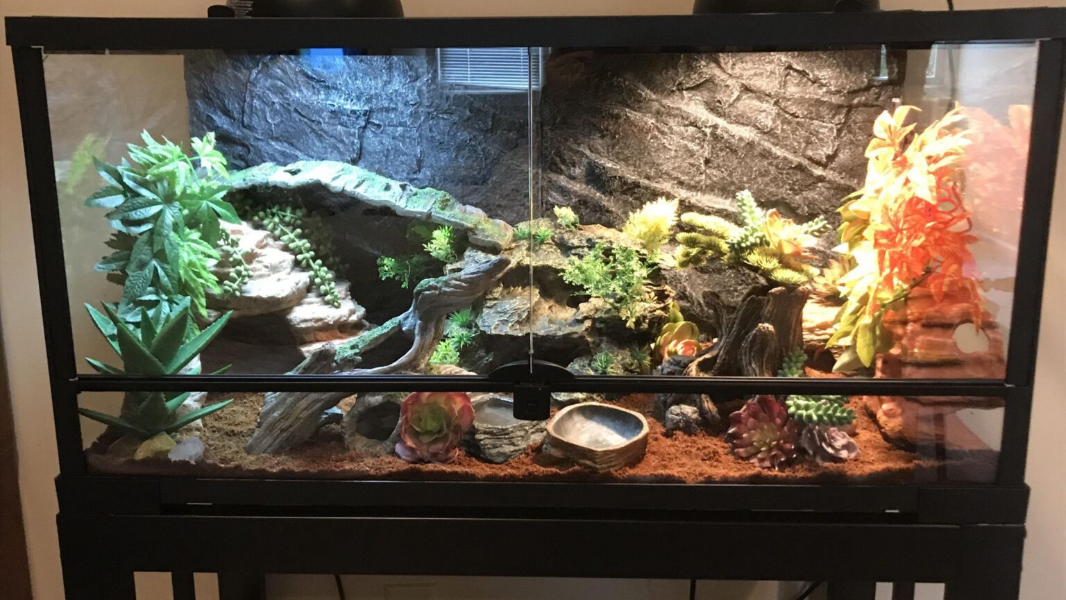 Crested Gecko Tank Size & Enclosure Guide 101 How To Choose The Right