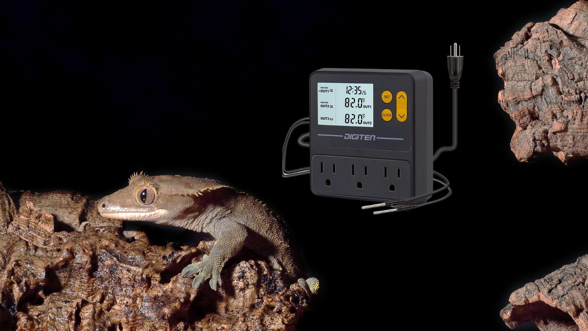 crested gecko temperature guide