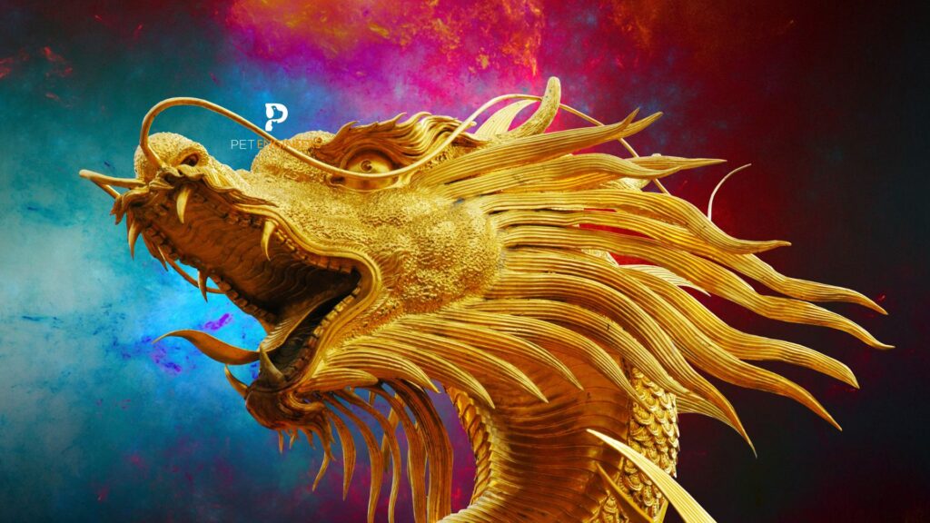 dragons