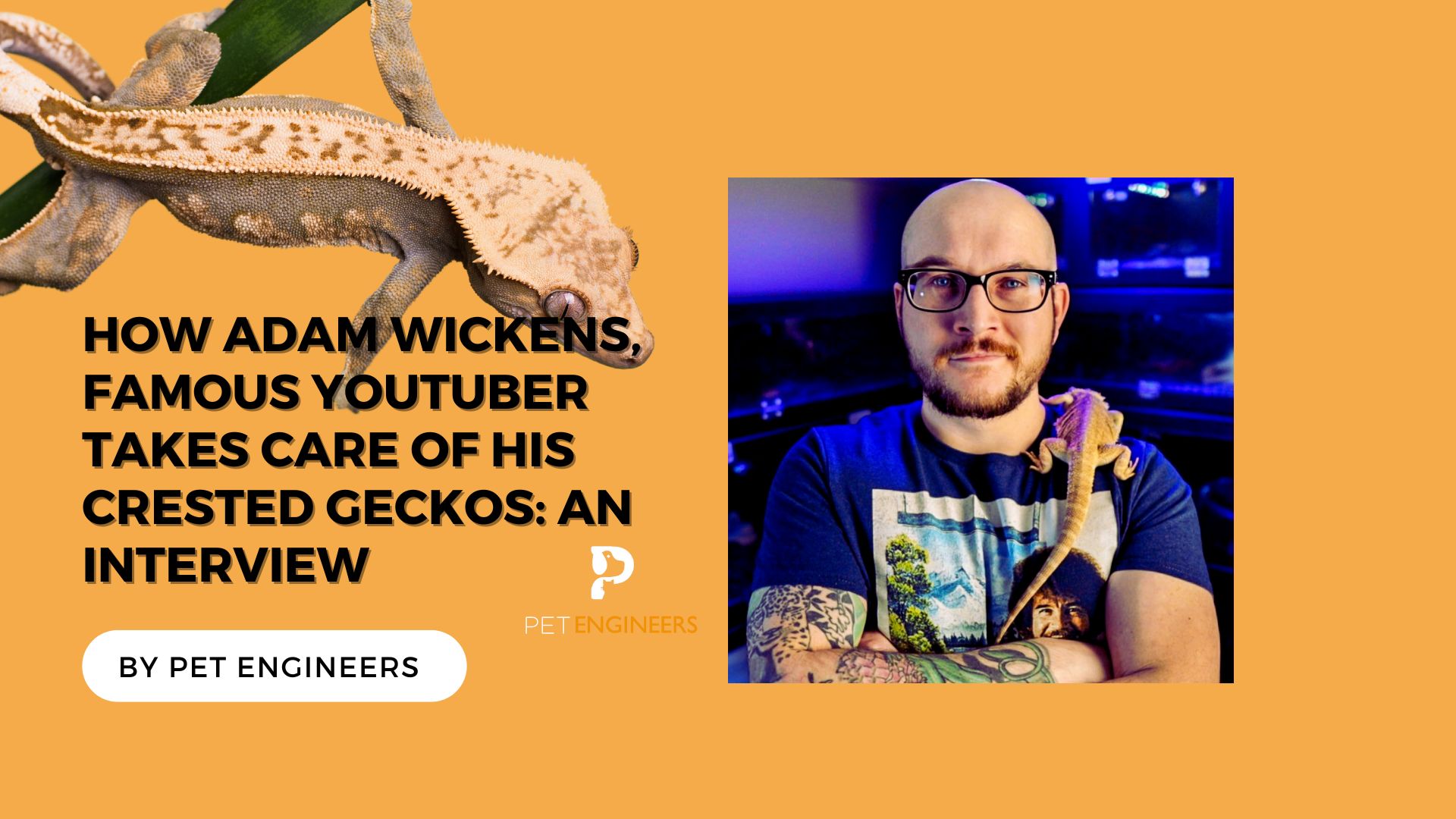 How Adam Wickens, Famous Youtuber Takes Care Of His Crested Geckos An Interview