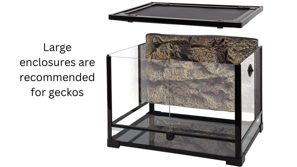 gecko enclosure