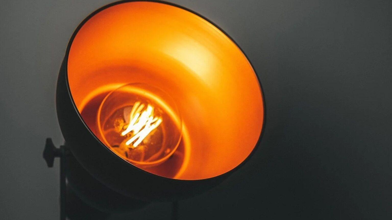 Tokay Gecko Bites Your Guide For 2023 Pet Engineers