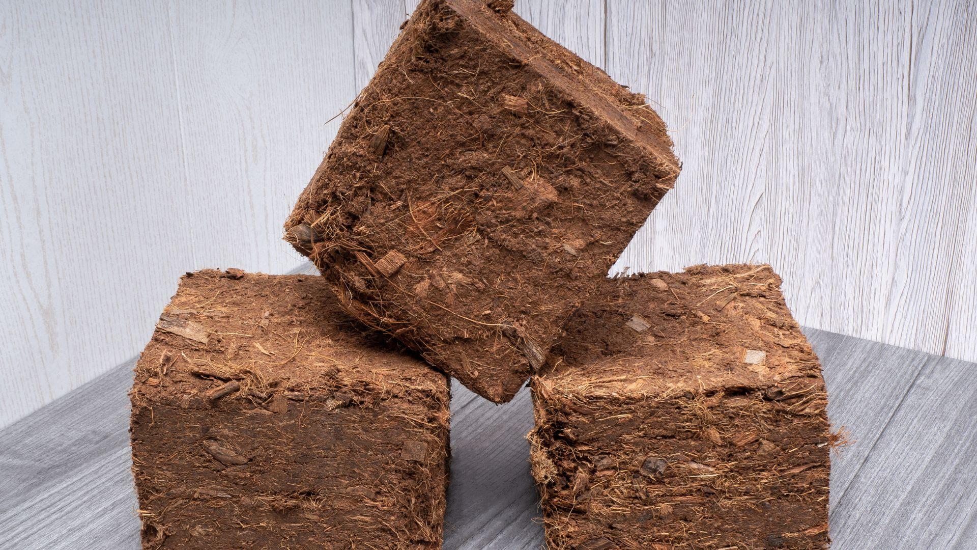 gargoyle gecko substrate
